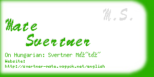 mate svertner business card